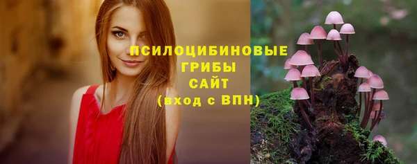 гидропоника Балабаново